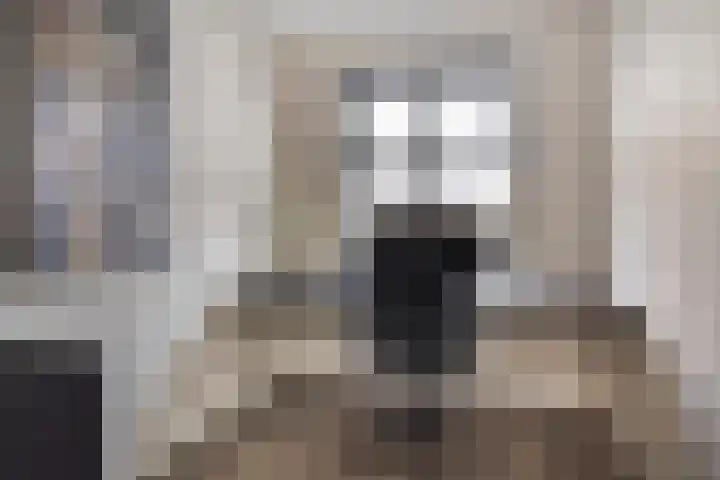 Beekvoorde 43 Borne thumbnail 22