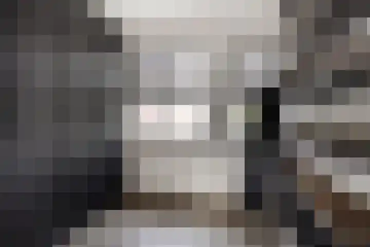 Beekvoorde 43 Borne thumbnail 24