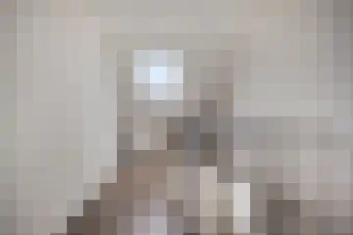 Beekvoorde 43 Borne thumbnail 26