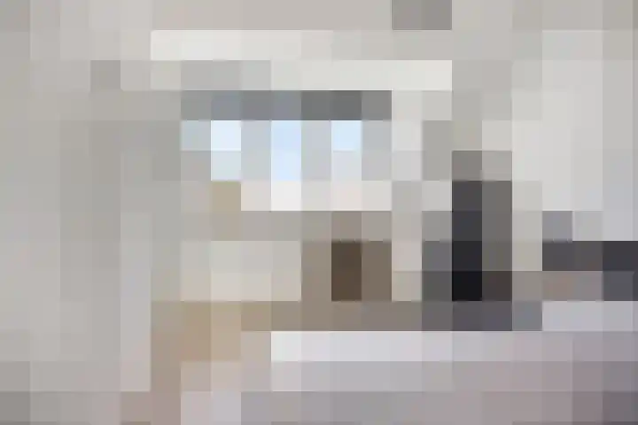 Beekvoorde 43 Borne thumbnail 29