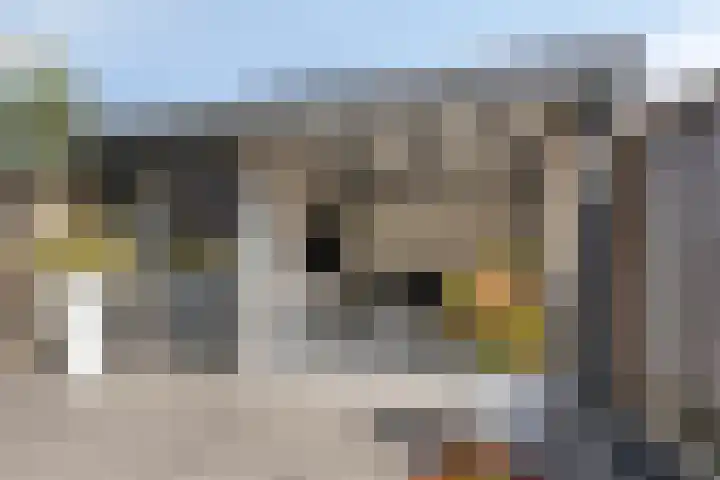 Beekvoorde 43 Borne thumbnail 34