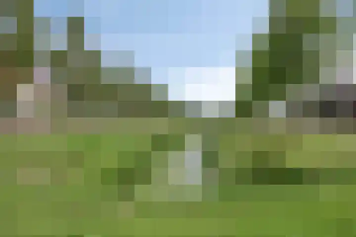 Beekvoorde 43 Borne thumbnail 37