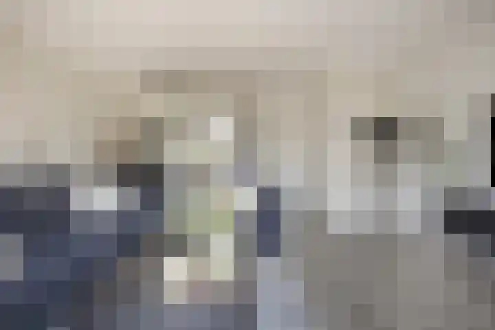 Beekvoorde 43 Borne thumbnail 4