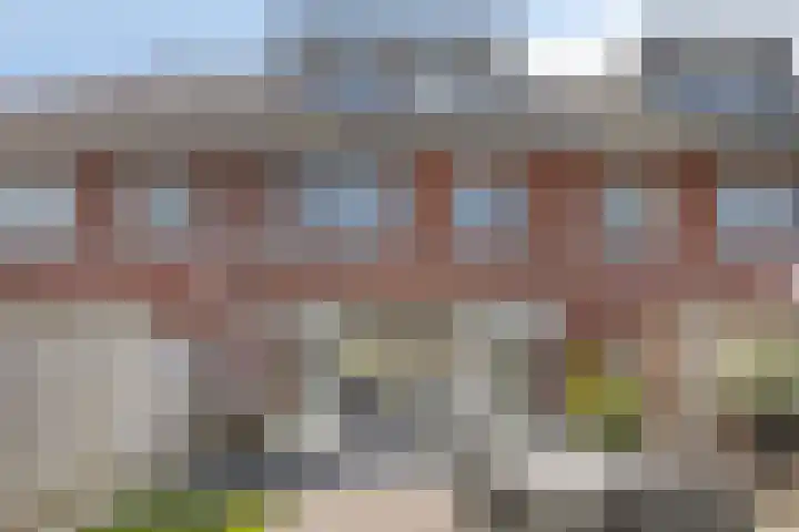 Beekvoorde 43 Borne thumbnail 6