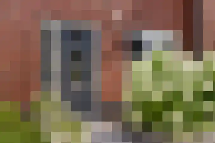 Beekvoorde 43 Borne thumbnail 8