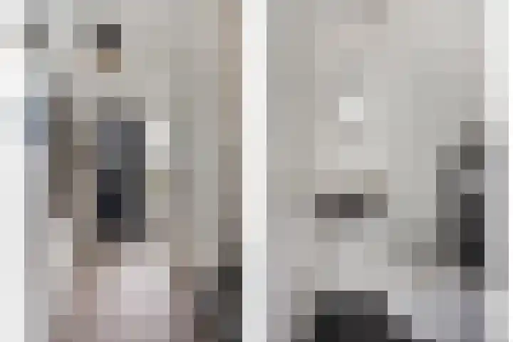 Beekvoorde 43 Borne thumbnail 9