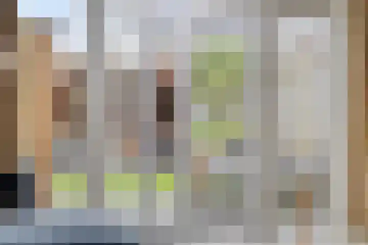 Beekvoorde 55 Borne thumbnail 12