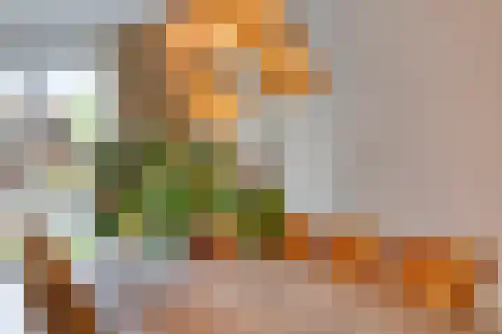 Beekvoorde 55 Borne thumbnail 13