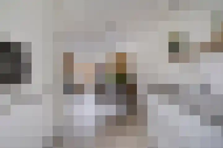 Beekvoorde 55 Borne thumbnail 14