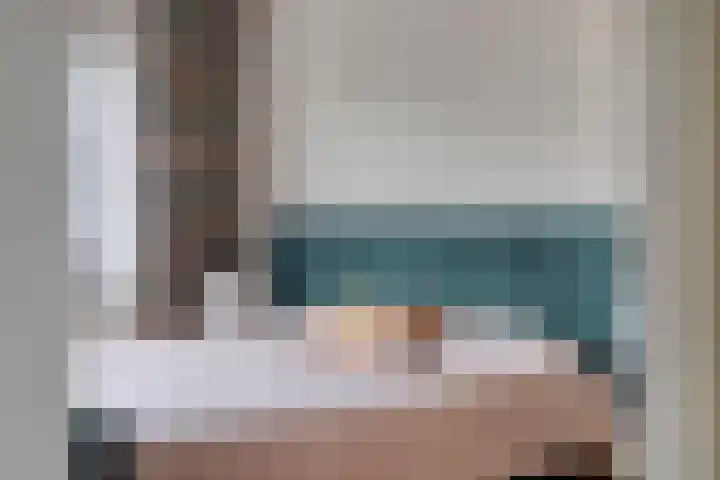 Beekvoorde 55 Borne thumbnail 18