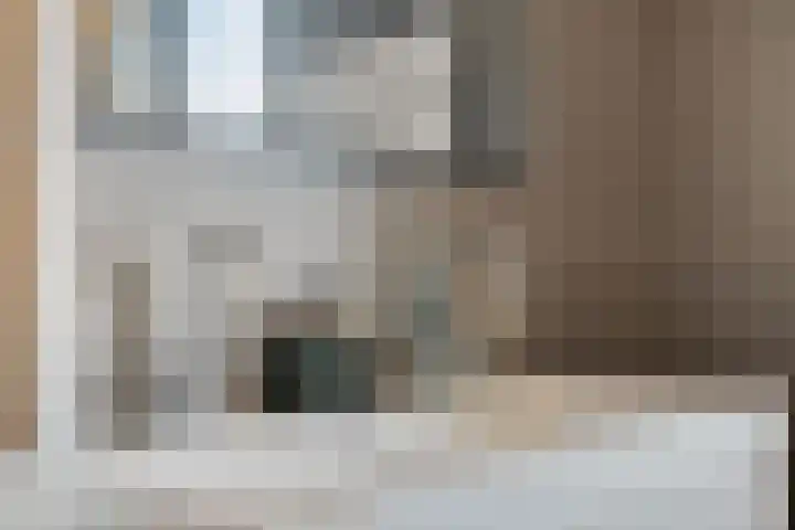 Beekvoorde 55 Borne thumbnail 21