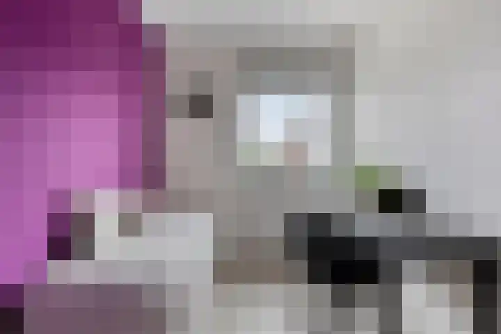 Beekvoorde 55 Borne thumbnail 22
