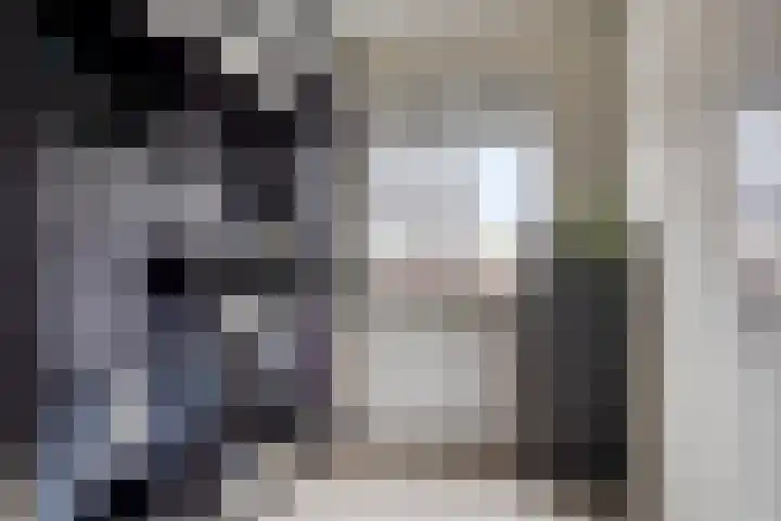 Beekvoorde 55 Borne thumbnail 24