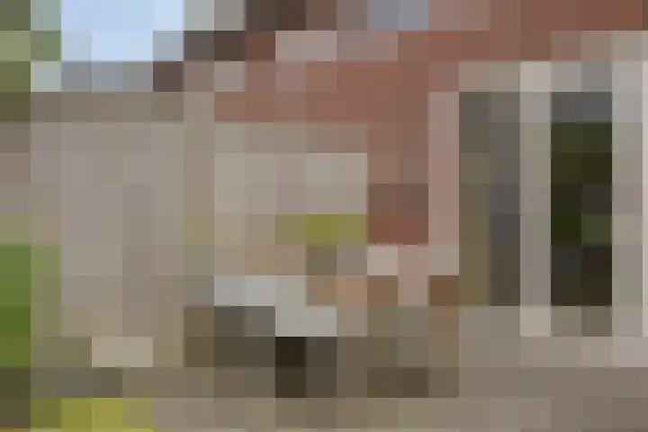 Beekvoorde 55 Borne thumbnail 28