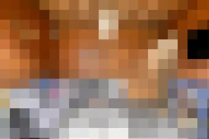 Beekvoorde 55 Borne thumbnail 29