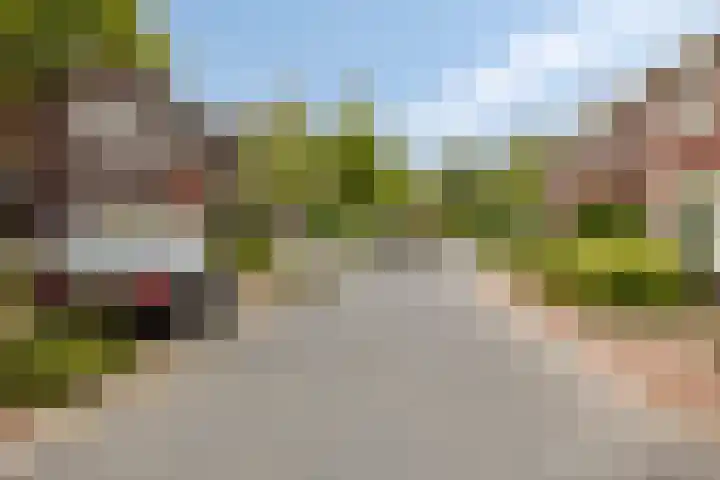 Beekvoorde 55 Borne thumbnail 30