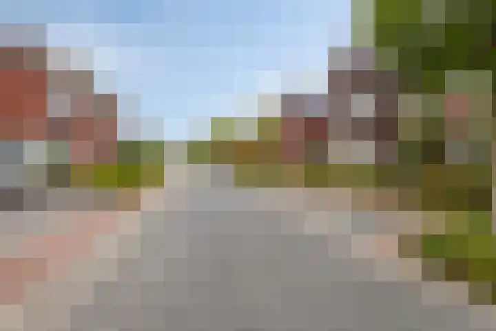 Beekvoorde 55 Borne thumbnail 31