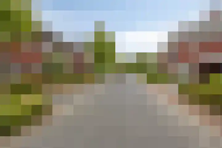 Beekvoorde 55 Borne thumbnail 32