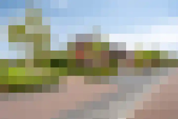 Beekvoorde 55 Borne thumbnail 33
