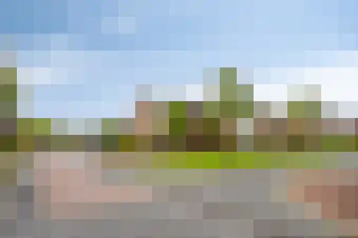 Beekvoorde 55 Borne thumbnail 34