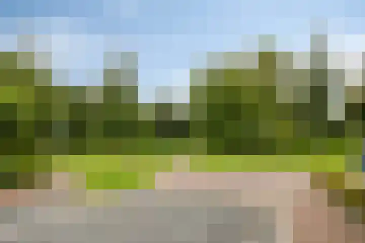 Beekvoorde 55 Borne thumbnail 35