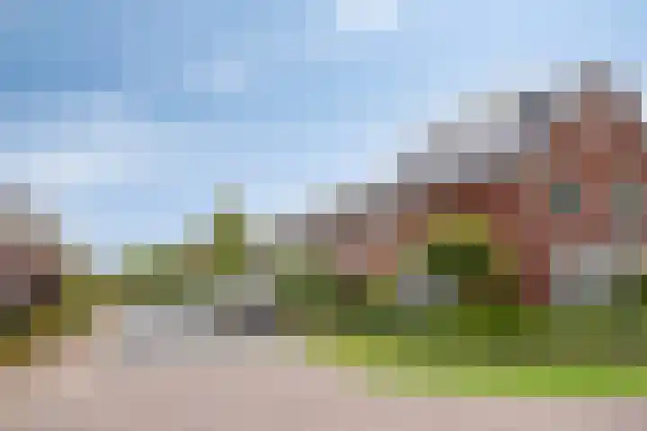 Beekvoorde 55 Borne thumbnail 36