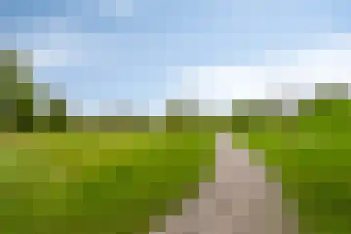 Beekvoorde 55 Borne thumbnail 39