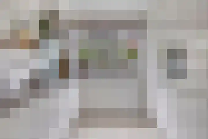 Beekvoorde 55 Borne thumbnail 4