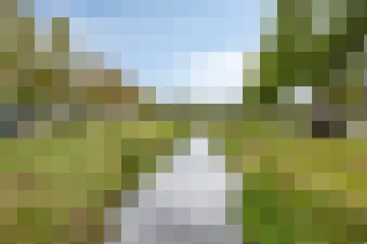 Beekvoorde 55 Borne thumbnail 40