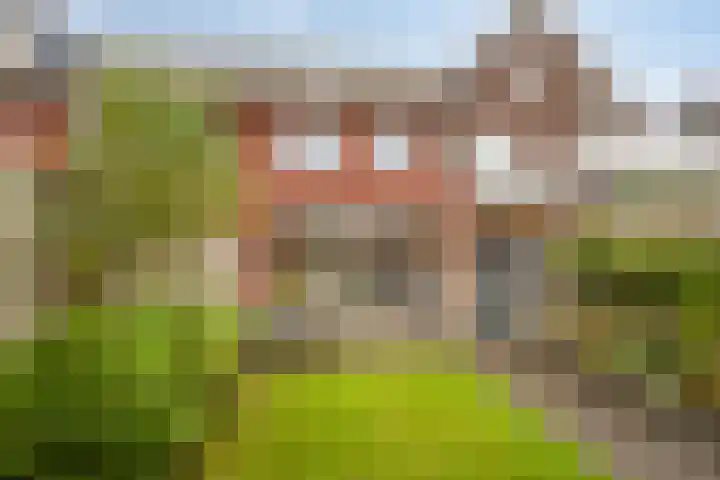 Beekvoorde 55 Borne thumbnail 5