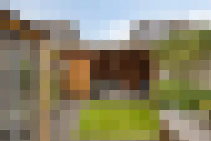 Beekvoorde 55 Borne thumbnail 6