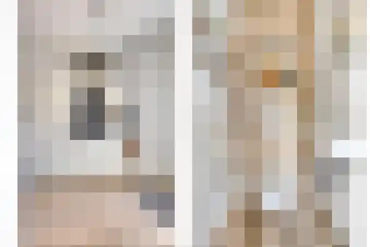 Beekvoorde 63 Borne thumbnail 12