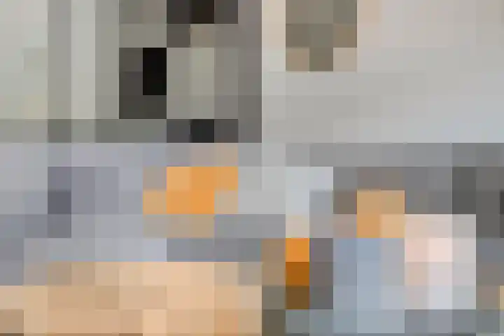 Beekvoorde 63 Borne thumbnail 16