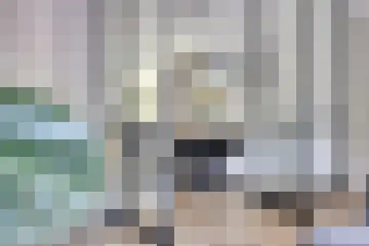 Beekvoorde 63 Borne thumbnail 17