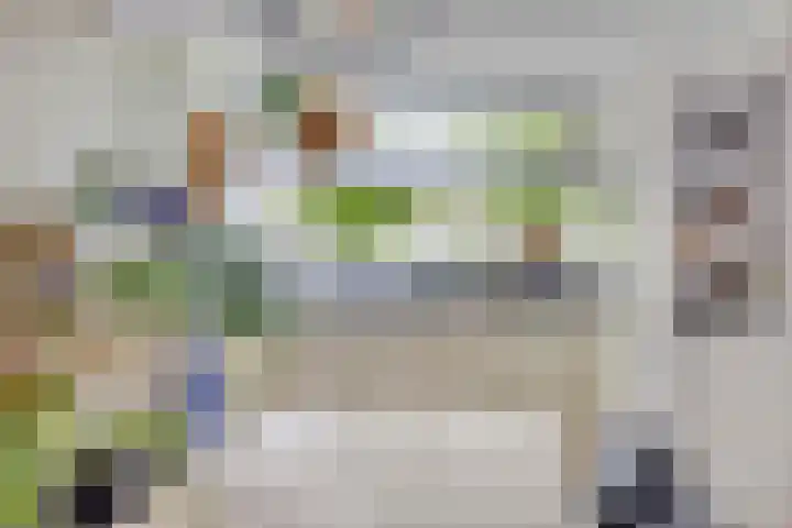 Beekvoorde 63 Borne thumbnail 19
