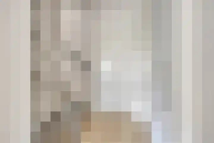 Beekvoorde 63 Borne thumbnail 22