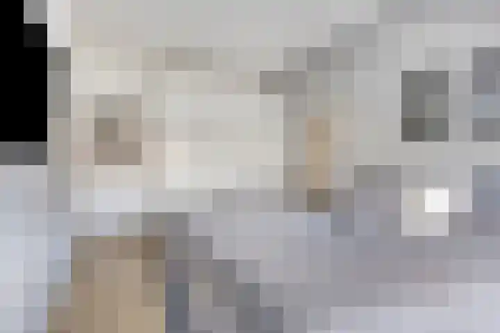Beekvoorde 63 Borne thumbnail 25