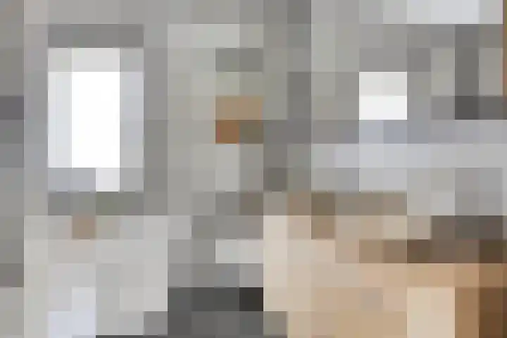Beekvoorde 63 Borne thumbnail 26