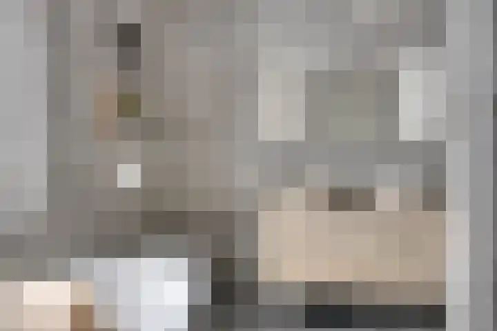 Beekvoorde 63 Borne thumbnail 28