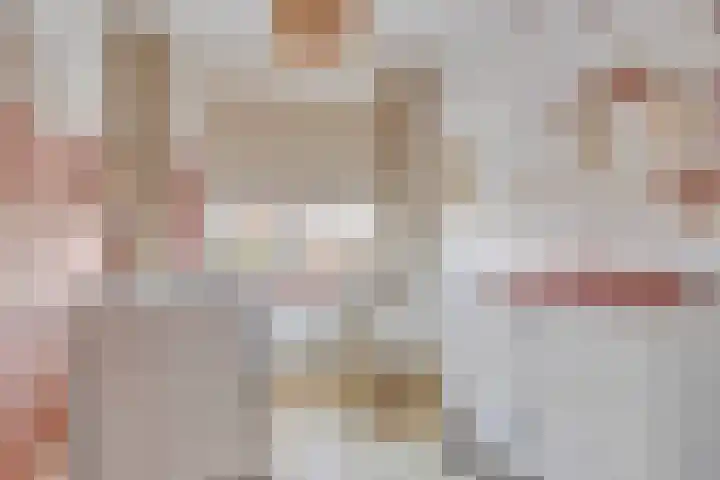 Beekvoorde 63 Borne thumbnail 32