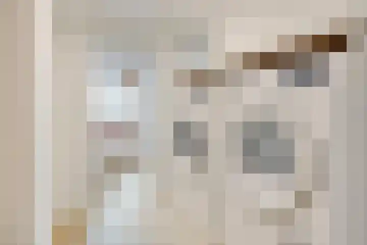 Beekvoorde 63 Borne thumbnail 35