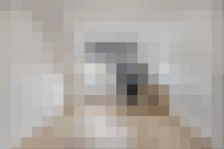 Beekvoorde 63 Borne thumbnail 39