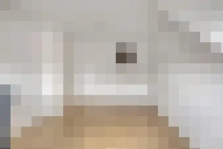 Beekvoorde 63 Borne thumbnail 40