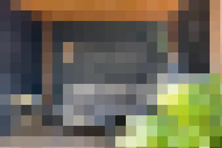 Beekvoorde 63 Borne thumbnail 42