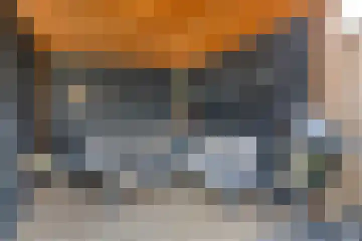 Beekvoorde 63 Borne thumbnail 43
