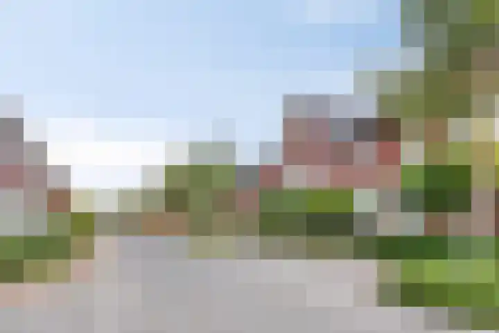 Beekvoorde 63 Borne thumbnail 44