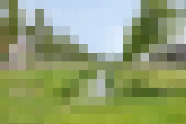 Beekvoorde 63 Borne thumbnail 46