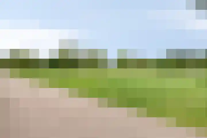 Beekvoorde 63 Borne thumbnail 47