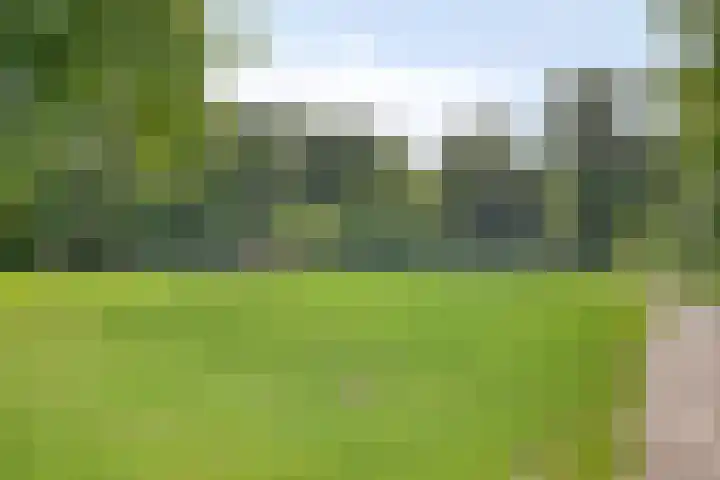 Beekvoorde 63 Borne thumbnail 49
