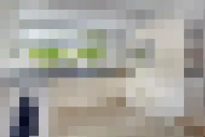Beekvoorde 63 Borne thumbnail 5